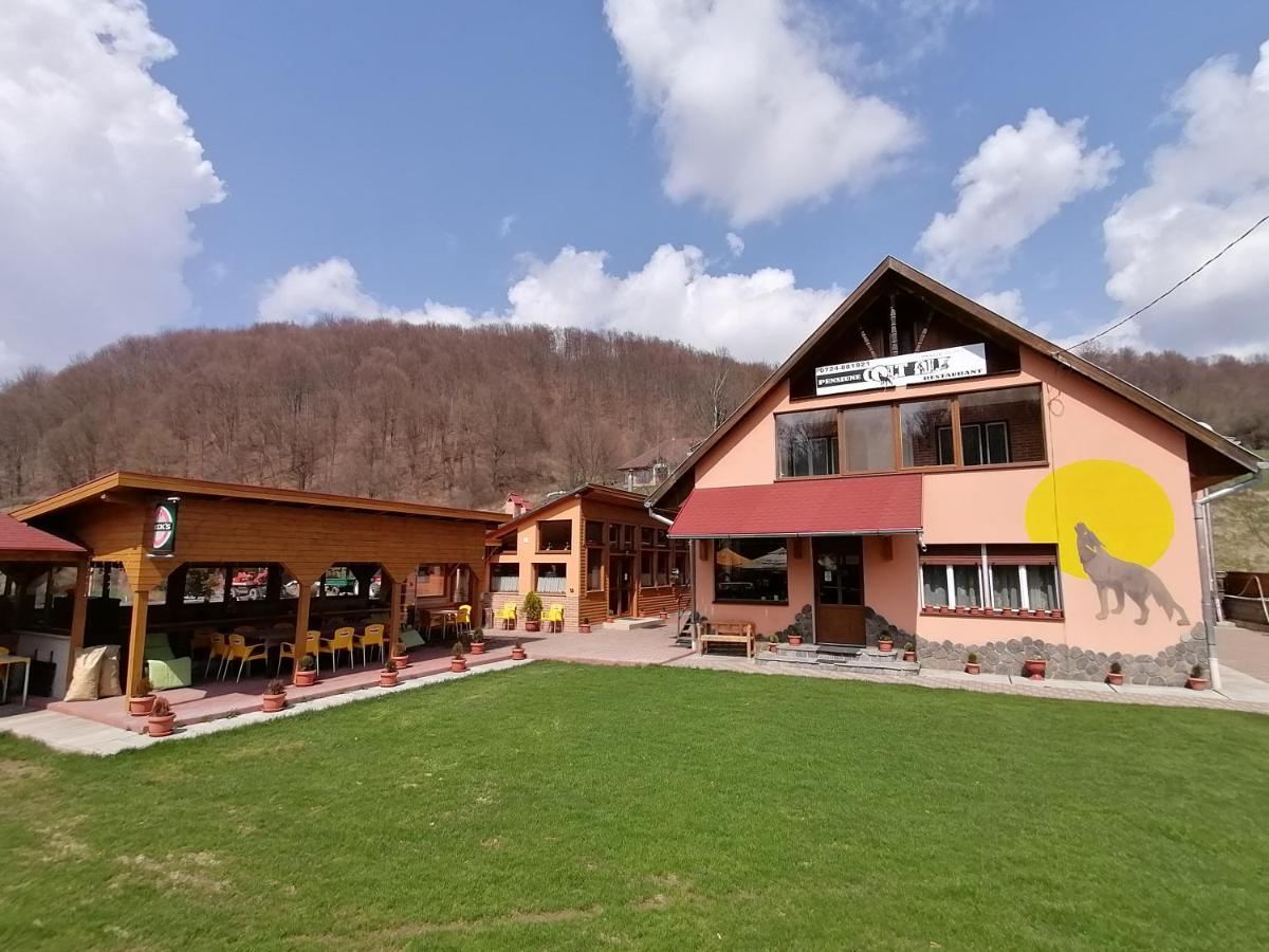 Pensiunea Colt Alb Băile Homorod Екстериор снимка